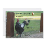 Double Sided Invitation, Rooster