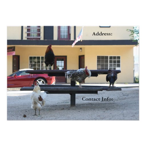 Double Sided Invitation, Rooster