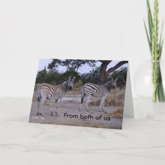 Double Take Zebra Birthday Card