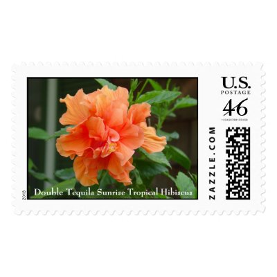 Double Tequila Sunrise Tropical Hibiscus Postage by titanic