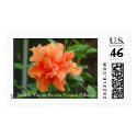 Double Tequila Sunrise Tropical Hibiscus postage by titanic Double Tequila Sunrise Tropical Hibiscus postage
