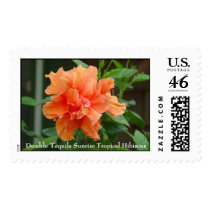Double Tequila Sunrise Tropical Hibiscus postage