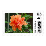 Double Tequila Sunrise Tropical Hibiscus Postage