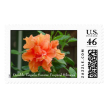 Double Tequila Sunrise Tropical Hibiscus Postage