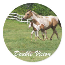 DOUBLE VISION stickers