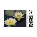 Double White Water Lily Postage postage
