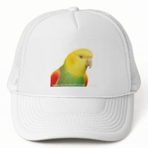 Double Yellow Headed Amazon Hat