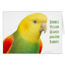 Double Yellow Headed Amazon Parrot Card