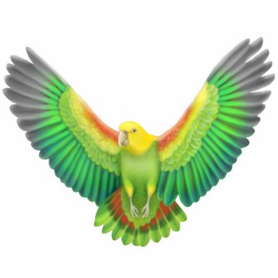 Double Yellow Headed Amazon Parrot Ornament Acrylic Cut Out by twopurringcats