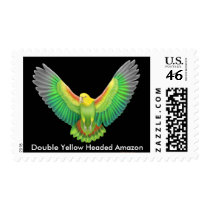 Double Yellow Headed Amazon  Postage