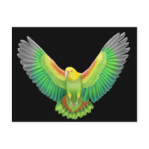 Double Yellow Headed Amazon Post Card