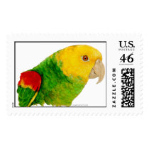 Double Yellow Headed Amazon (stamps)