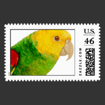 Double Yellow Headed Amazon (stamps) stamps