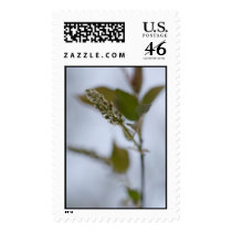 doubt the dream postage by blacqbook doubt the dream postage
