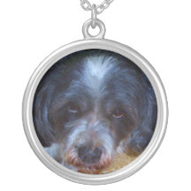 Dougal Grimpola Personalizada