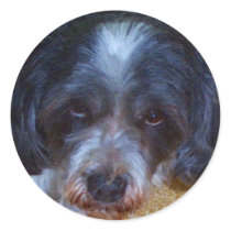 Dougal stickers