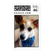 Doughnut the Doggie Stamp