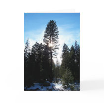 Douglas Fir cards