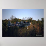 Douglas SBD Dauntless Poster