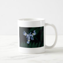 DouglasIris Mug