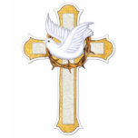 Dove and Cross t-shirts by Spice Dove and Cross t-shirts