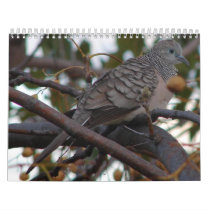 Dove Calendar