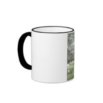 Dove Coffee Mug by mwhitfield23 Dove Coffee Mug