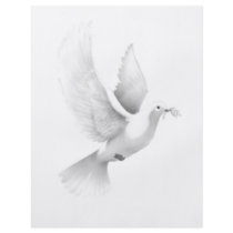 dove flyers
