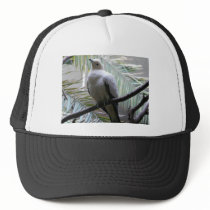dove mesh hat