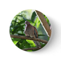 Dove I Buttons