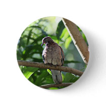 Dove II Pinback Buttons