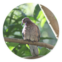 Dove II Round Sticker