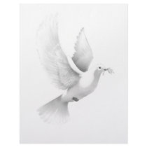 dove letterhead by WeddingWorks dove letterhead