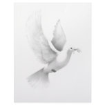 dove letterhead