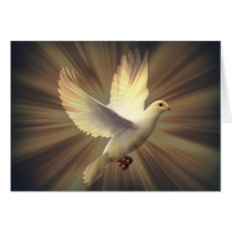 Dove of peace. card