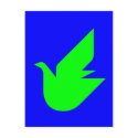Dove of Peace postcards