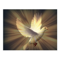 Dove of peace. postcard