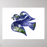 Dove of Peace Posters