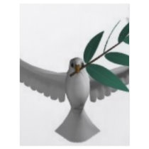 Dove-olivebranch flyers
