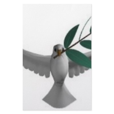 Dove-olivebranch stationery