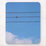 Dove on the wire mousepads