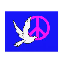 dove peace postcard