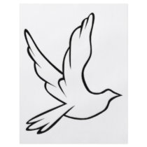 Dove Symbol flyers