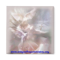 doves magnets