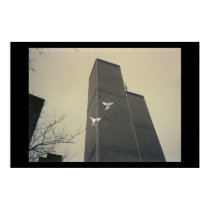 Doves & Towers posters