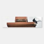 Doves With Birds Bumper Sticker