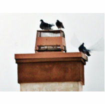 Doves With Birds photo sculptures by lifesphere Doves With Birds photo sculptures