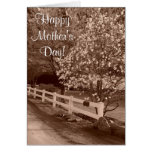 Down A Country Lane Cards