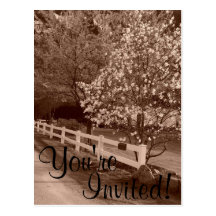 Down A Country Lane Postcards
