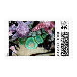 Down by the sea Original Photo Postage Stamp
